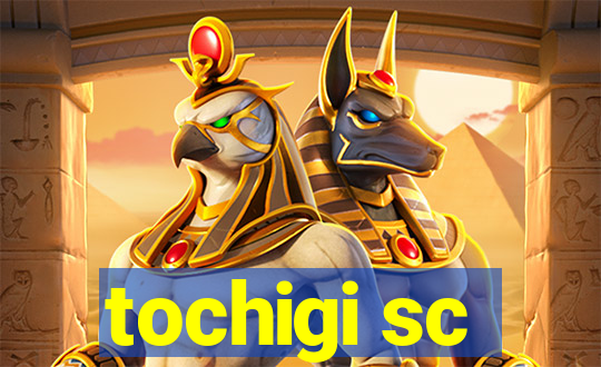 tochigi sc