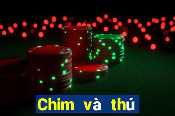 Chim và thú fansapp Tải về