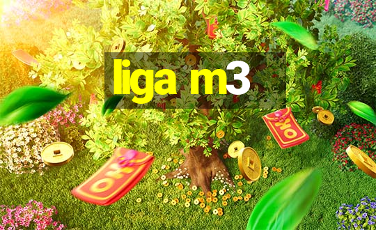 liga m3