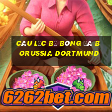 câu lạc bộ bóng đá borussia dortmund