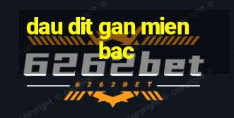 dau dit gan mien bac