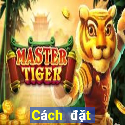 Cách đặt cược XSTN ngày 11