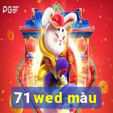 71 wed màu