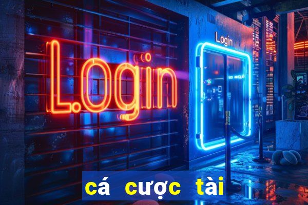 cá cược tài xỉu euro