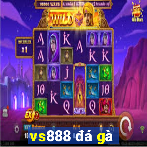 vs888 đá gà