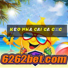 kèo nhà cái cá cược