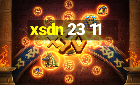 xsdn 23 11