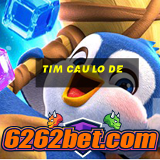 tim cau lo de