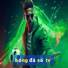 bóng đá số tv