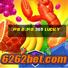 Ứng dụng 365 Lucky