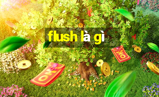 flush là gì