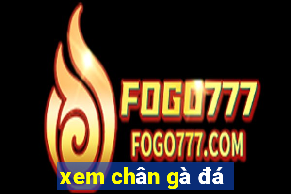 xem chân gà đá