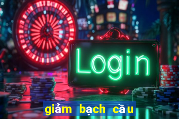 giảm bạch cầu ở mèo