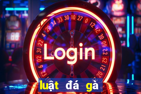 luật đá gà cựa dao