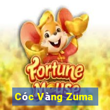 Cóc Vàng Zuma