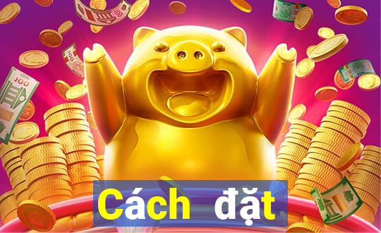 Cách đặt cược XSTN ngày 19