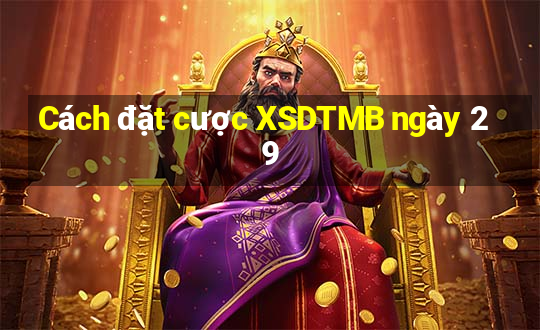 Cách đặt cược XSDTMB ngày 29