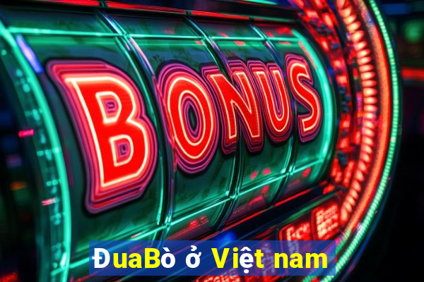 ĐuaBò ở Việt nam