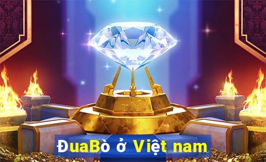 ĐuaBò ở Việt nam