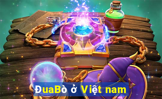 ĐuaBò ở Việt nam