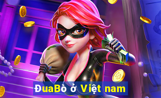 ĐuaBò ở Việt nam