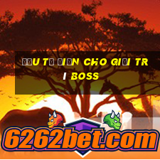 Đầu tư điện cho giải trí boss