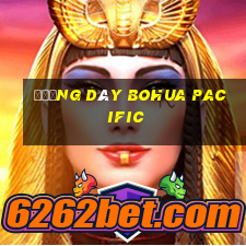 Đường dây Bohua Pacific