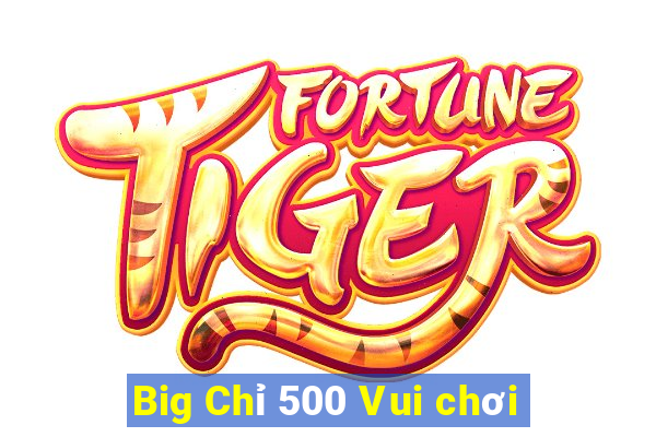 Big Chỉ 500 Vui chơi