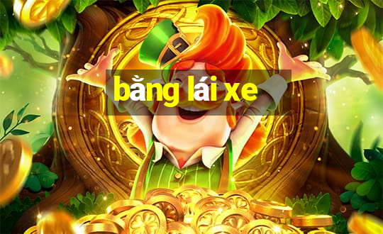 bằng lái xe