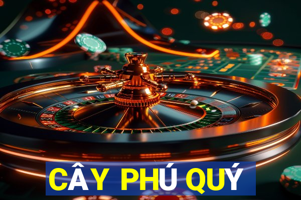 CÂY PHÚ QUÝ