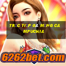 trực tiếp gà mạng campuchia