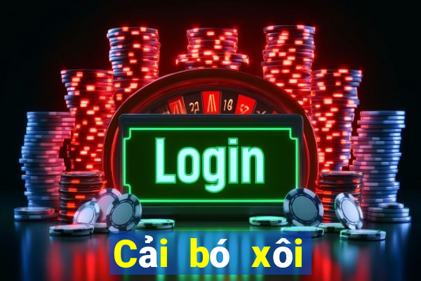 Cải bó xôi để chải