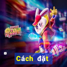 Cách đặt cược XSKT ngày mai