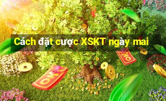 Cách đặt cược XSKT ngày mai