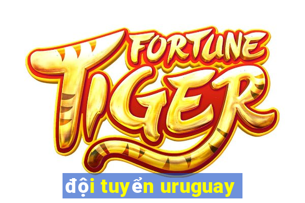 đội tuyển uruguay