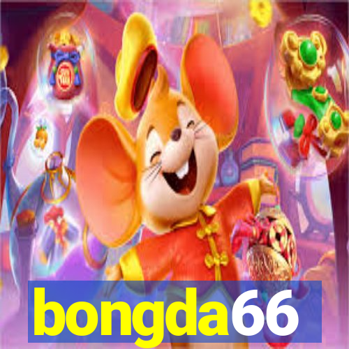 bongda66