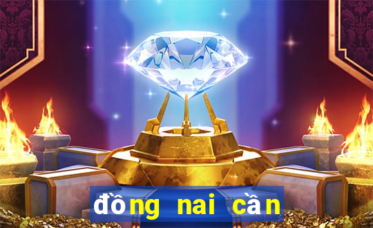 đồng nai cần thơ hôm nay