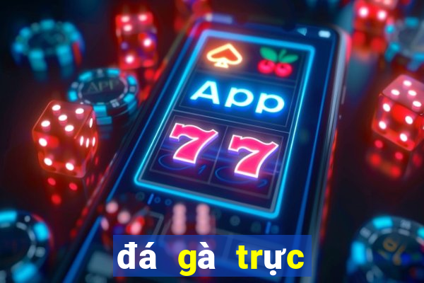 đá gà trực tiếp 888