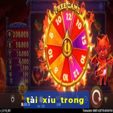 tài xỉu trong xóc đĩa