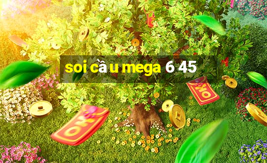 soi cầu mega 6 45