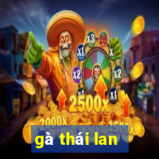 gà thái lan