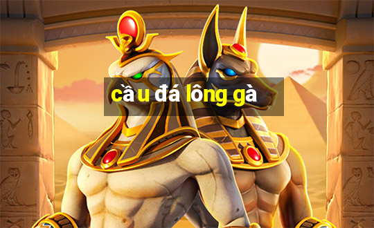 cầu đá lông gà