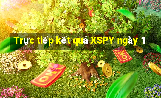 Trực tiếp kết quả XSPY ngày 1