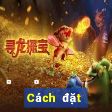 Cách đặt cược XSBDI ngày 3