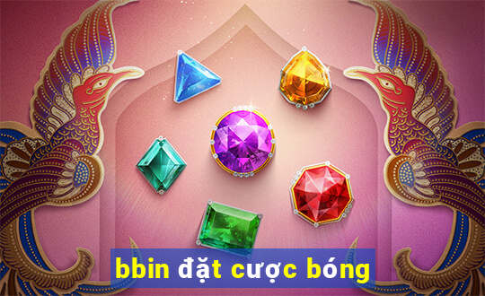 bbin đặt cược bóng