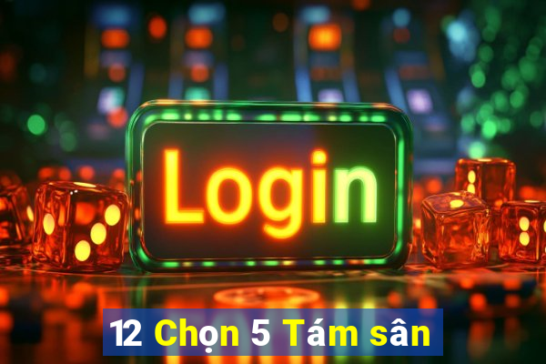 12 Chọn 5 Tám sân