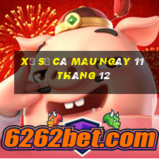 xổ số cà mau ngày 11 tháng 12