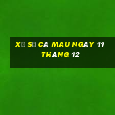 xổ số cà mau ngày 11 tháng 12