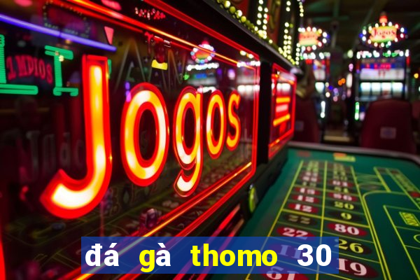 đá gà thomo 30 tháng 9