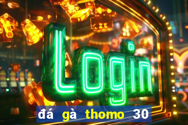 đá gà thomo 30 tháng 9